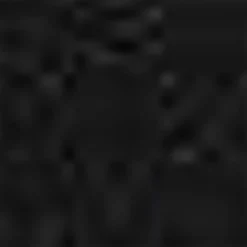 Aquatalia Carisa Black New