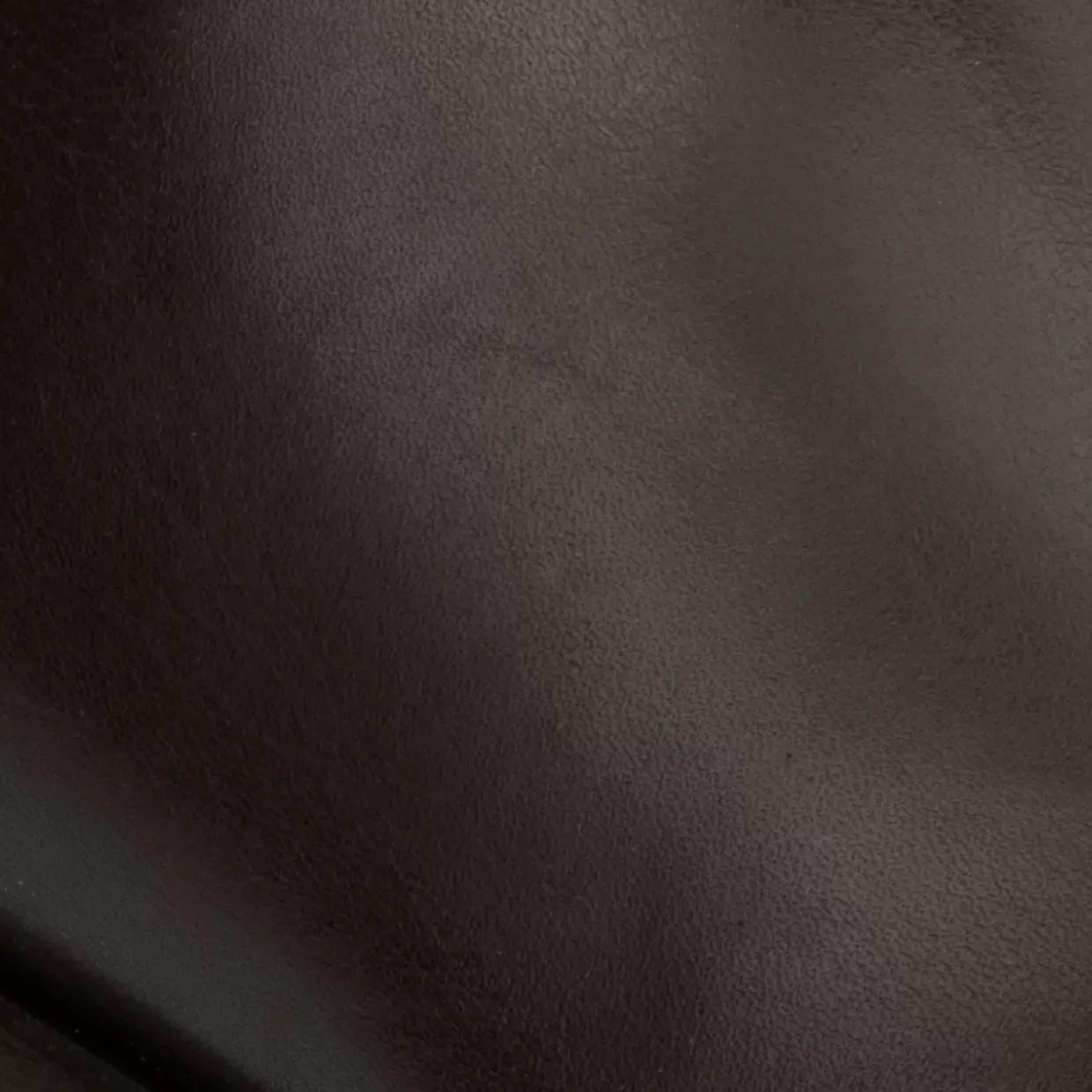 Aquatalia Carisa Black/Brown Best