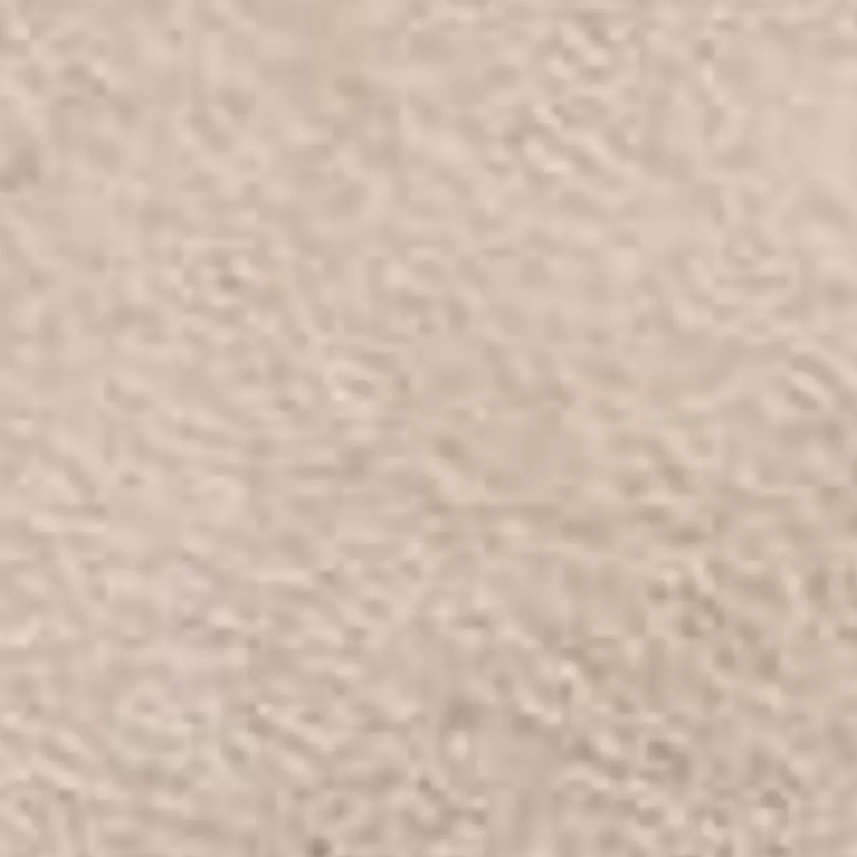 Aquatalia Hildy Taupe Hot