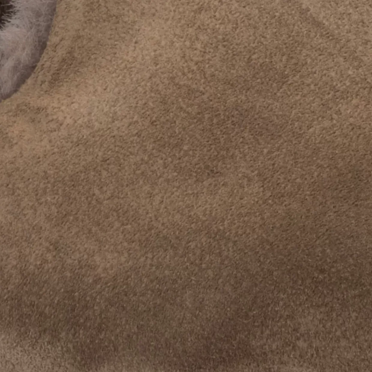 Aquatalia Rayla Light Taupe Online