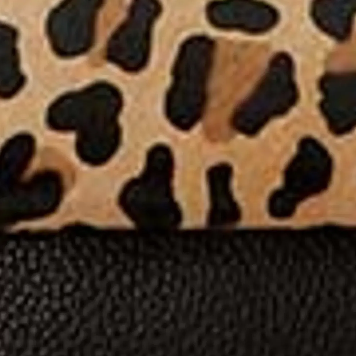 Aquatalia Soho Crossbody Leopard Best